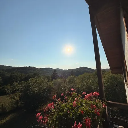 Villa чочита Trapeskovtsi